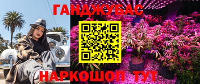 стаф Ирбит