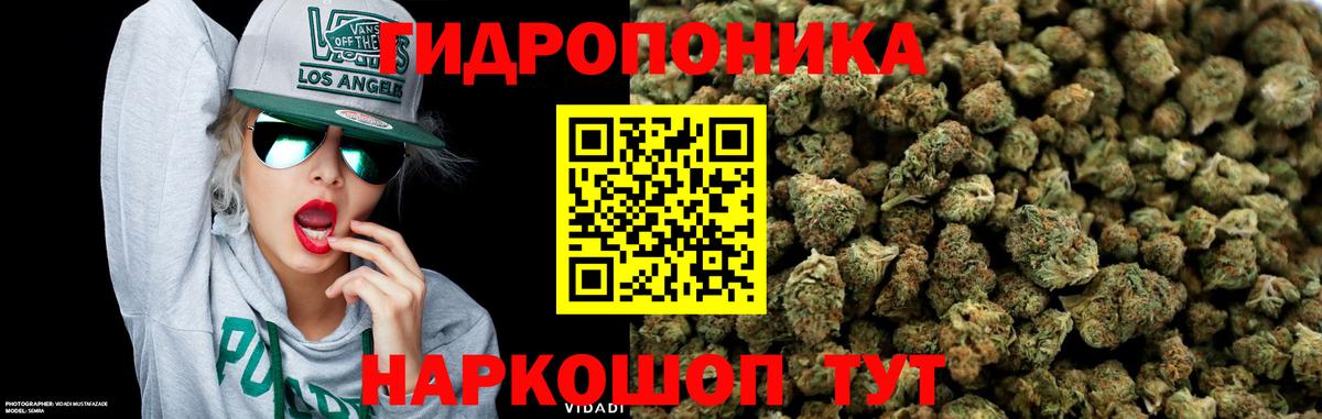 Бошки марихуана ГИДРОПОН Одинцово